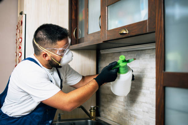 Best Emergency Pest Control  in El Jebel, CO